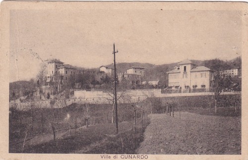 C18341 ville di - c18341-(varese),,