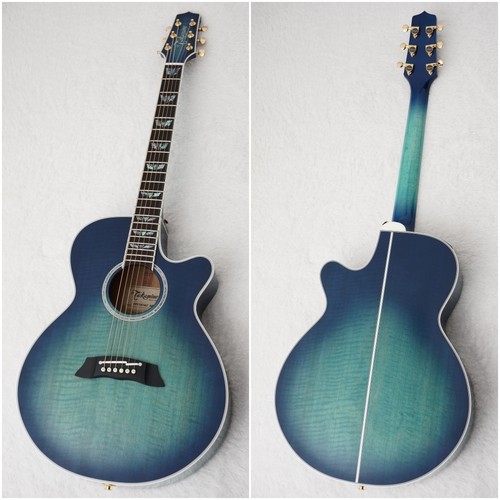 Takamine tdp181ac ffs chitarra - takamine,