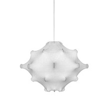 Flos taraxacum achille - taraxacum,