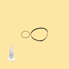 Cinghia Olio = Kit 5 per