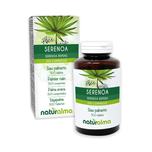Serenoa palma nana - palma, (serenoa