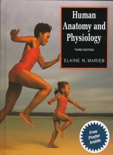 Human anatomy and - human,