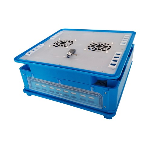 Incubatrice uova uccelli 110v - uova,
