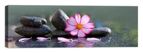 Centro estetico zen - centro, quadro