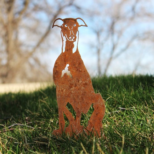 Whippet sagoma per - sagoma,