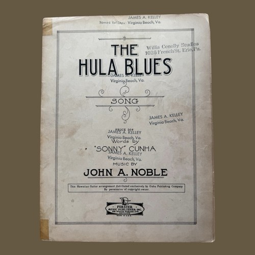 Hula blues hawaiian - hula, steel