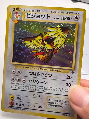 Pidgeot 018 jungle jap - pidgeot, n.