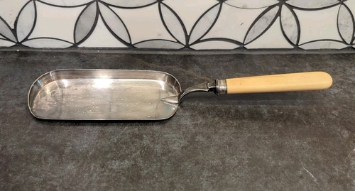 Antico piatto argento briciole
