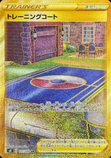 127-100-S8-B - Carta Pokemon -