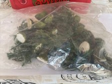 Trenini Accessori Plastico Vintage Scala H0