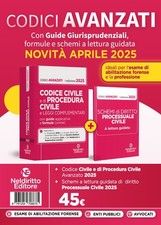 Codice civile con leggi complementari e codice di procedura civile. Nuova ediz