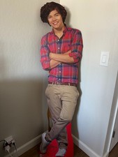 One Direction Harry Stand Up