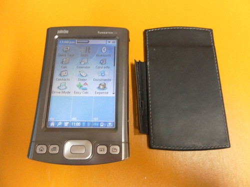 Palm tungsten - palm,