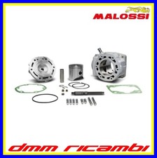 Gruppo Termico MALOSSI D.65