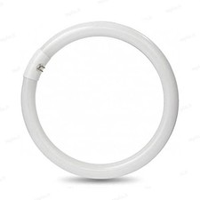 Circolina Fluorescente 22W