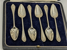 SET di cucchiai POMPELMO in