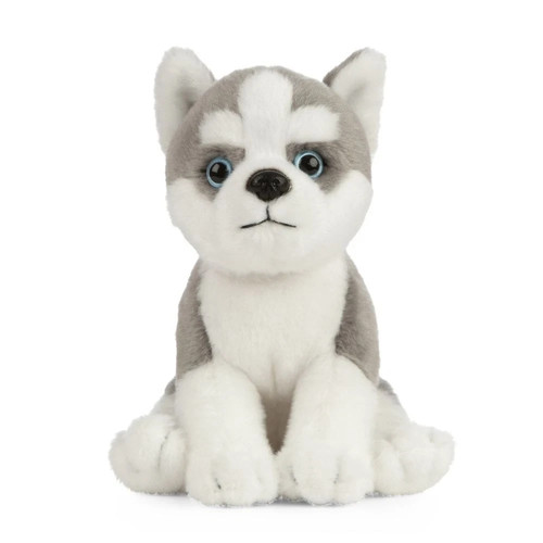 Peluche giocattolo morbido - peluche,