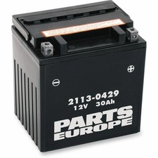 Parts Europe batteria