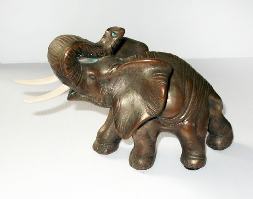 Elefante bertolotti periodo - bertolotti-,