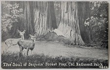 Cartolina d'epoca 1919