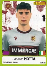 Panini calciatori serie bkt - serie,