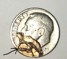 1967 Roosevelt Dime *unico nel