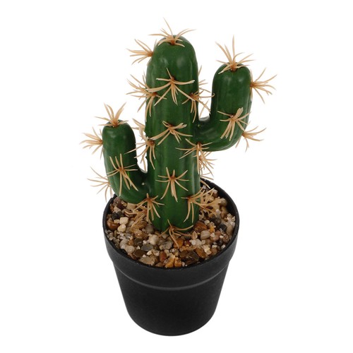 Cactus vaso simulato casa - cactus, in
