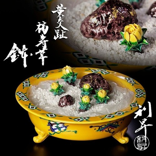 Kato risho iii - risho, yellow