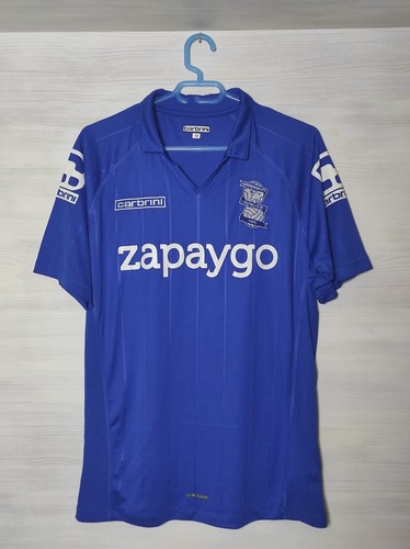 Birmingham city 2014 15 - birmingham, 2014-15
