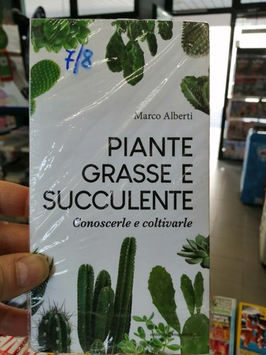 Piante grasse succulente - grasse,
