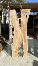 2 Tavole in legno di ulivo Max