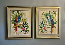 Dipinti artistici pappagallo