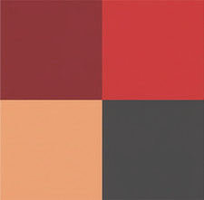 Caribbean 1000 p 2024 P-132