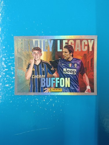 Figurine calciatori panini - figurine,