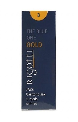 Rigotti ance sax baritono gold - sax,