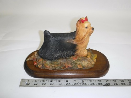 Yorkshire terrier yorkie - terrier,