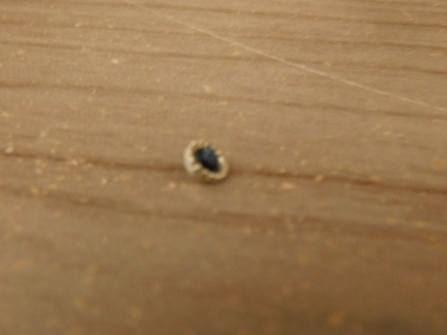 Anello franklin principessa - anello,