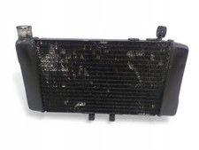 Ventola radiatore NTV 650