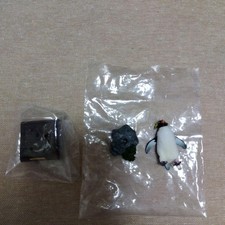 Nature Technicolor Rockhopper