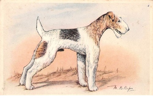 Cani 71368 cane da - -,