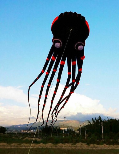 Piedi 3d enorme - m, polpo