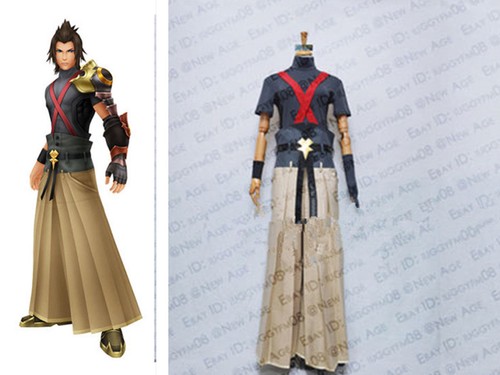 Hot kingdom hearts terra - hot,