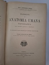 elementi di anatomia umana