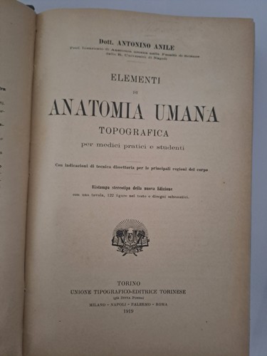 Elementi anatomia umana - anatomia,