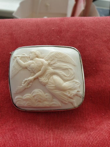 Cammeo conchiglia rosa - cammeo,
