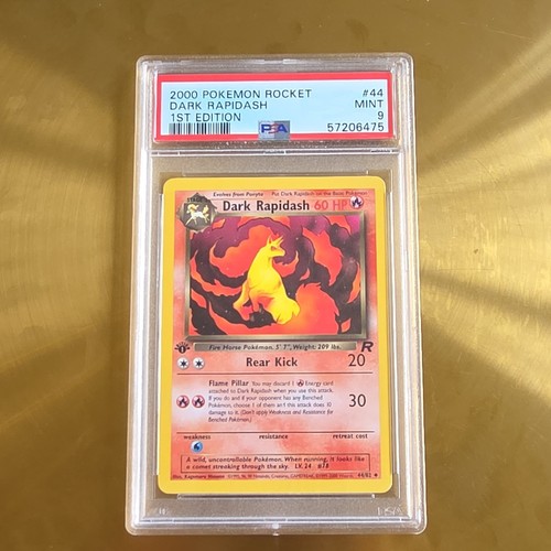 Dark rapidash 1 - dark,