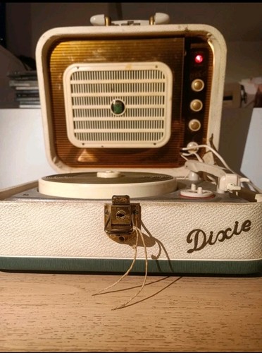 Fonovaligia vintage garis - vintage,