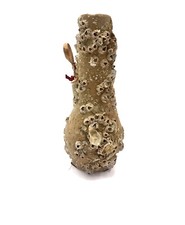 Anfora Vaso In Terracotta Mare Riproduzione Archeologica  Romano Greco Etrusco