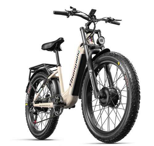 Bicicletta elettrica - bicicletta, 26