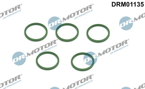 Motor automotive anello - dr.motor,